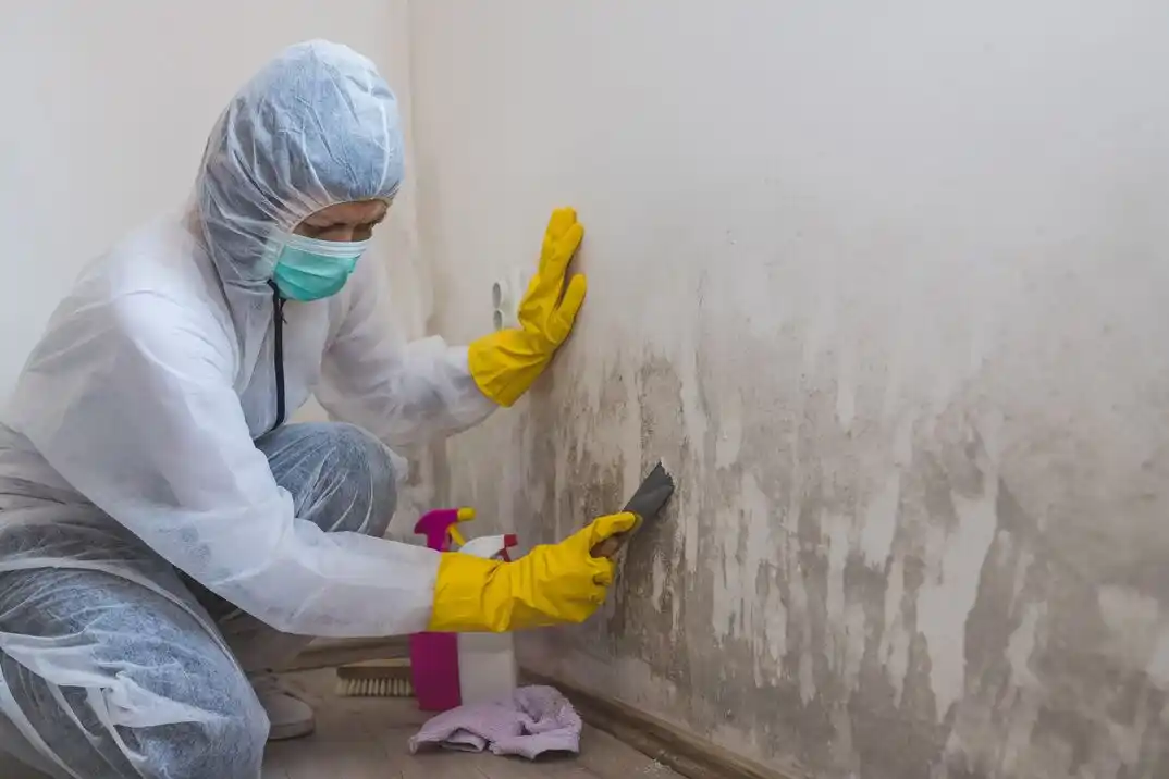 water damage restoration service Braehead Woods